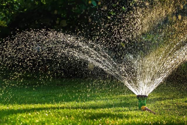 Sprinklers are handy for giving the whole garden a soaking