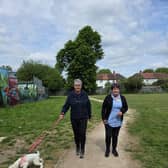 Walking the dog
