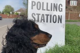 Dogs at polling stations local elections 2023 (image: Chris Caulfield)