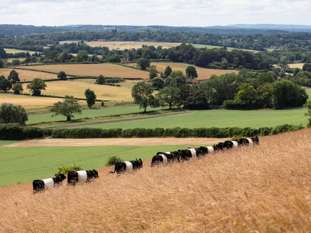 The NFU is working to support farmers across Surrey and Sussex to tackle a number of issues.