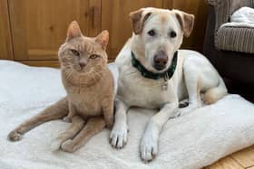 The adorable pair have completely changed Claire's life - Animal News Agency
