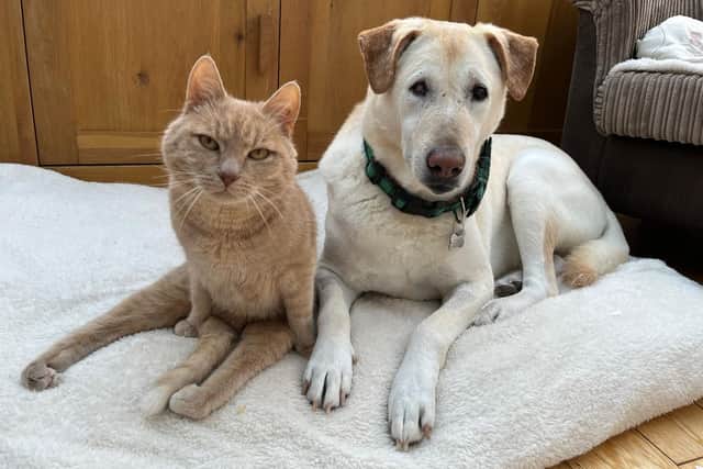 The adorable pair have completely changed Claire's life - Animal News Agency