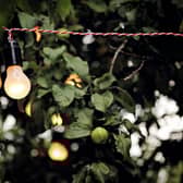 NICEIC warns people in Surrey to set-up their gardens safely as lighting popularity soars