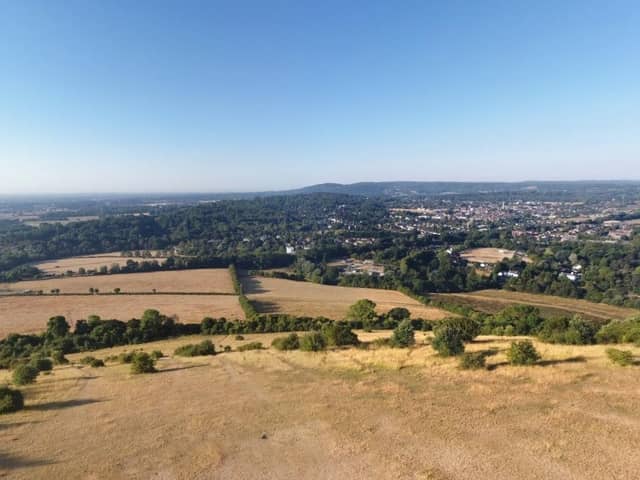 View from Box Hill, Surrey National Landscape. (Credit: Google Street View)