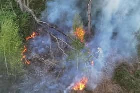 A wildfire in Horsham sparked a considerable emergency response in April. Picture by Sussex News and Pictures