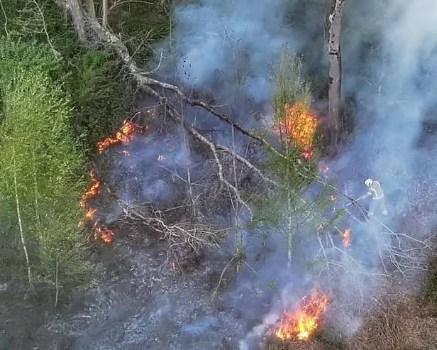 A wildfire in Horsham sparked a considerable emergency response in April. Picture by Sussex News and Pictures