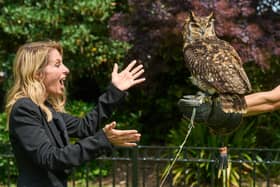 Geneviève Côté who impressed millions on Britain’s Got Talent with her amazing animal impressions comes face to face with Bubo, a Mackinder's Eagle Owl, as she perfects her impression of the majestic bird of prey.