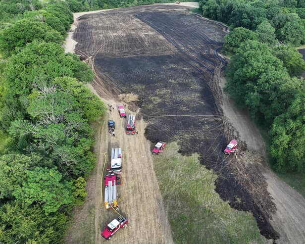 West Sussex fire crews called to tackle Surrey wildfire