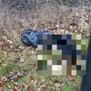 The grim discovery was made on land near Shaw Drive next to the Queen Elizabeth II Storage Reservoir in Walton-on-Thames. Picture courtesy of the RSPCA