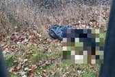 The grim discovery was made on land near Shaw Drive next to the Queen Elizabeth II Storage Reservoir in Walton-on-Thames. Picture courtesy of the RSPCA