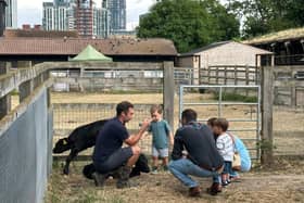 Surrey Docks Farm is celebrating its Golden Jubilee year. Pictures contributed