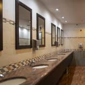 The Jack Fairman in Horley has won acclaim for the quality and standards of its toilets – in the Loo of the Year Awards 2023. Picture by Hugh Ardoin