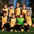 Ashtead FC Sponsorship