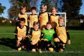 Ashtead FC Sponsorship