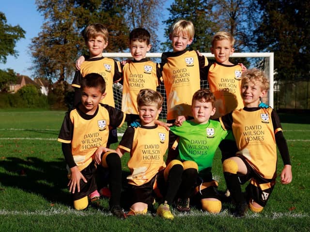 Ashtead FC Sponsorship