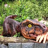 Nibbles, the baby T-Rex
