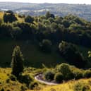 Plans to make local government more streamlined and effective in Surrey are now open for consultation. Picture by Harry Engels/Getty Images