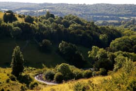 Plans to make local government more streamlined and effective in Surrey are now open for consultation. Picture by Harry Engels/Getty Images