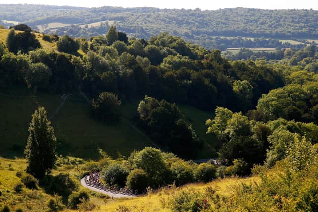 Plans to make local government more streamlined and effective in Surrey are now open for consultation. Picture by Harry Engels/Getty Images