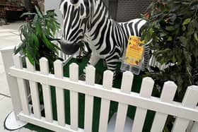Follow the Go Wild Trail everyday this summer for a chance to win and annual family ticket to London Zoo
