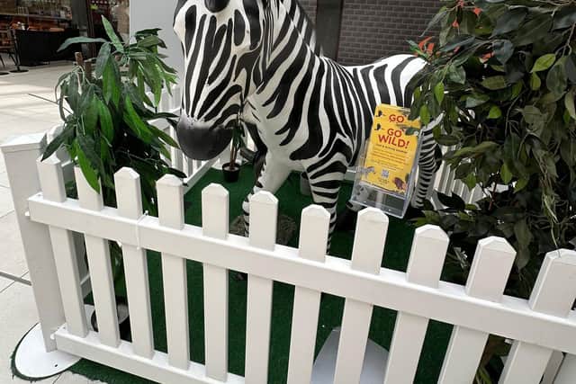 Follow the Go Wild Trail everyday this summer for a chance to win and annual family ticket to London Zoo