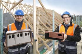 Swift Boxes for Finchwood Park