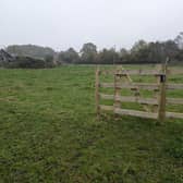 Pictures taken by Joe Massey as he walked the route Surrey County Council recommended his children take to school after cancelling their free bus access (image Joe Massey)