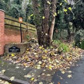 AUCTION: Land at Whyteleafe Hill in Whyteleafe, Surrey