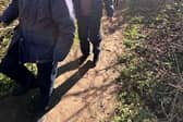 5K walk/run