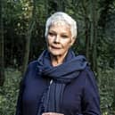 WARNING: Embargoed for publication until 00:00:01 on 09/12/2017 - Programme Name: Judi Dench: My Passion For Trees - TX: 20/12/2017 - Episode: Judi Dench: My Passion For Trees (No. n/a) - Picture Shows:  Dame Judi Dench - (C) Atlantic Productions - Photographer: Gary Moyes