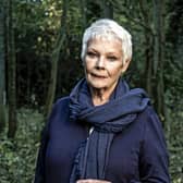 WARNING: Embargoed for publication until 00:00:01 on 09/12/2017 - Programme Name: Judi Dench: My Passion For Trees - TX: 20/12/2017 - Episode: Judi Dench: My Passion For Trees (No. n/a) - Picture Shows:  Dame Judi Dench - (C) Atlantic Productions - Photographer: Gary Moyes