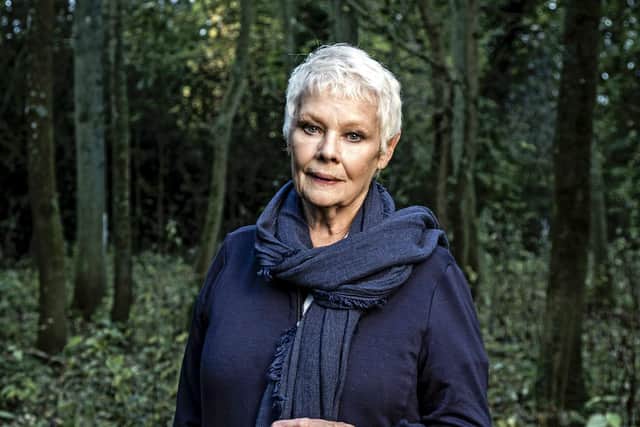 WARNING: Embargoed for publication until 00:00:01 on 09/12/2017 - Programme Name: Judi Dench: My Passion For Trees - TX: 20/12/2017 - Episode: Judi Dench: My Passion For Trees (No. n/a) - Picture Shows: Dame Judi Dench - (C) Atlantic Productions - Photographer: Gary Moyes