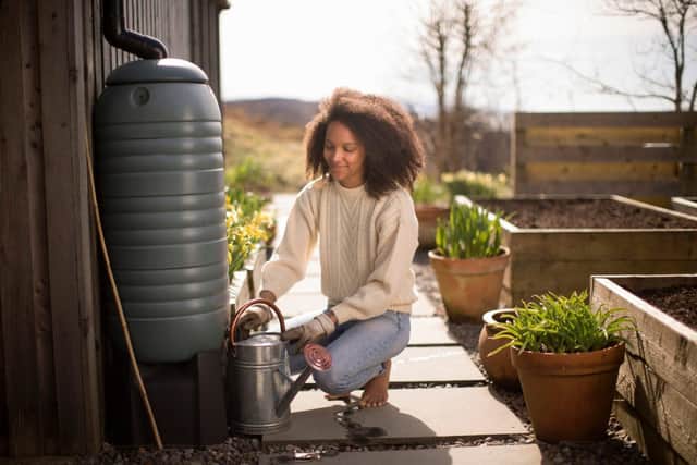 Water butts are wonderful garden accessories