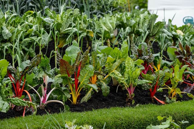 Edible show gardens at the BBC Gardeners' World Spring Fair at Beaulieu