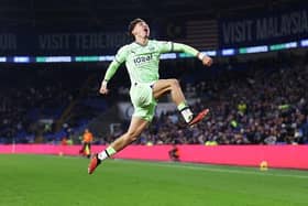 Brighton's Ecuador international Jeremy Sarmiento has made a loan move to Championship club Ipswich Town