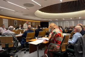 Simon Higgins, speaking at a Guildford Borough Council meeting on July 30. (Credit: Emily Dalton/LDRS)