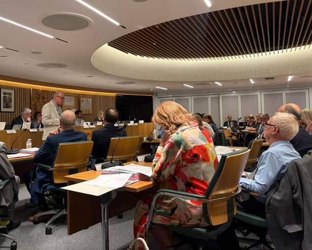 Simon Higgins, speaking at a Guildford Borough Council meeting on July 30. (Credit: Emily Dalton/LDRS)
