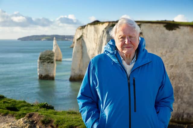 Ocean With David Attenborough