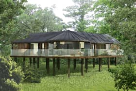 Treehouses next to Fairmont Hotel in Englefield Green could look. Credit Blue Forest