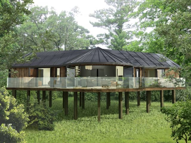 Treehouses next to Fairmont Hotel in Englefield Green could look. Credit Blue Forest