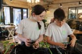Pupils from Grayswood Primary School enjoy harvesting their potato crop.