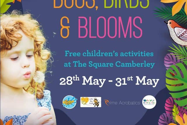 Bugs, Birds and Blooms