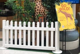 Go Wild Trail