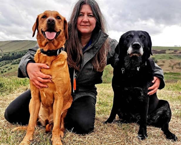 Rachel Bean is giving this advice to Surrey dog owners - Animal News Agency