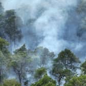 The fire service reported at 5.15pm on Tuesday (May 20) that crews were tackling a wildfire on Crooksbury Road, Tilford, Farnham.