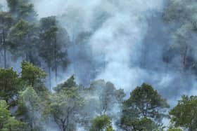 The fire service reported at 5.15pm on Tuesday (May 20) that crews were tackling a wildfire on Crooksbury Road, Tilford, Farnham.