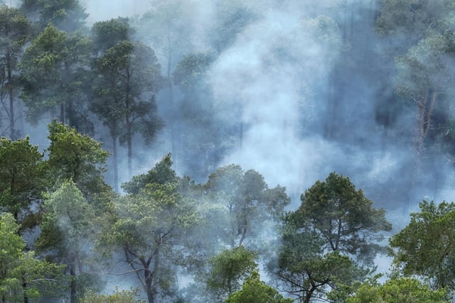 The fire service reported at 5.15pm on Tuesday (May 20) that crews were tackling a wildfire on Crooksbury Road, Tilford, Farnham.