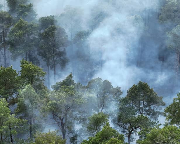 The fire service reported at 5.15pm on Tuesday (May 20) that crews were tackling a wildfire on Crooksbury Road, Tilford, Farnham.