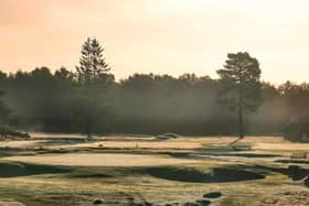 Walton Heath (Old) has been named one of the best golf courses in England