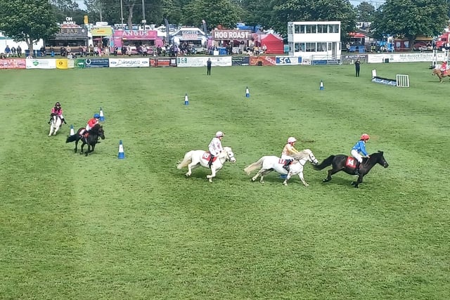 Scenes from the South of England Show.